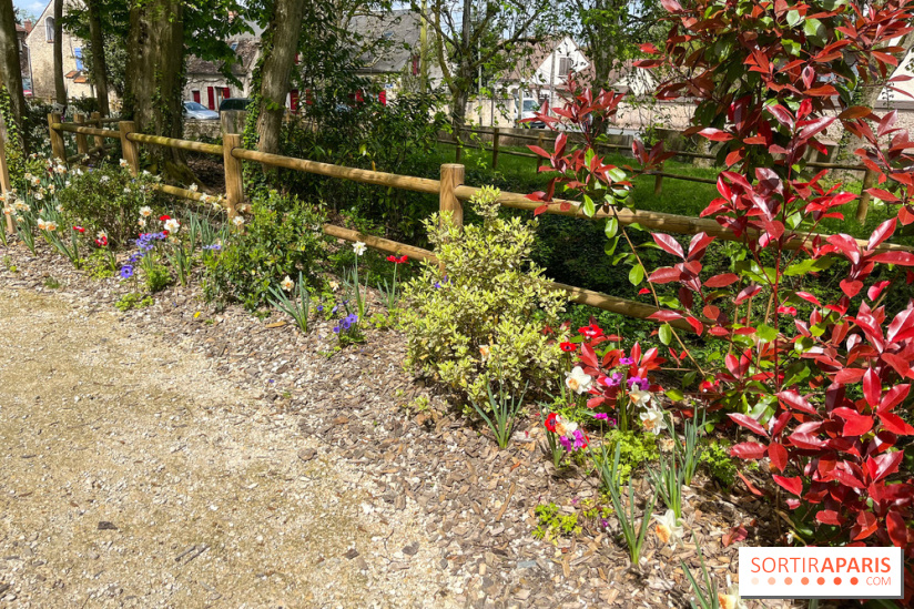 Le parc Lejars-Rouillon - nos photos - image00018