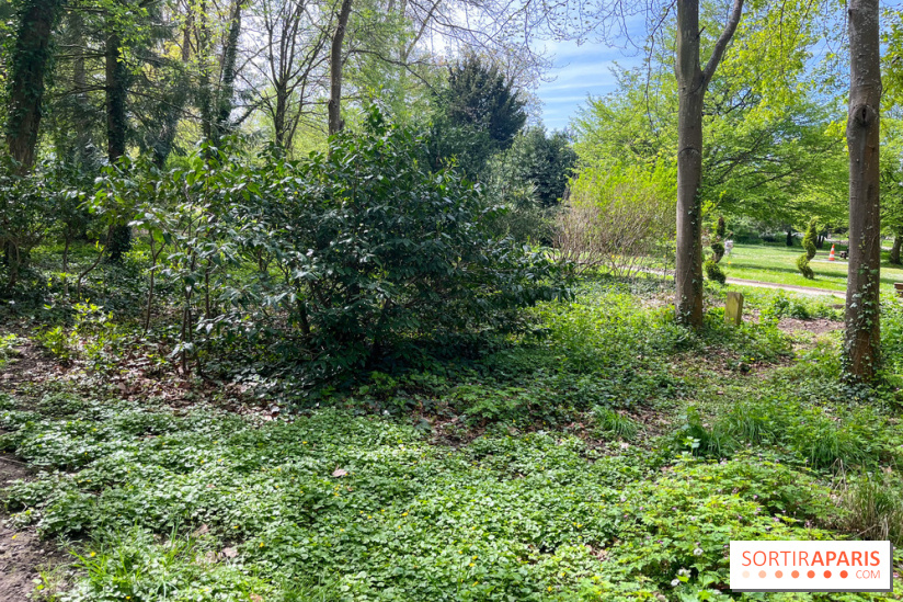 Le parc Lejars-Rouillon - nos photos