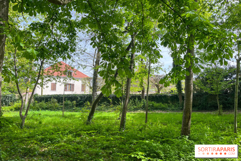 Le parc Lejars-Rouillon - nos photos - image00001