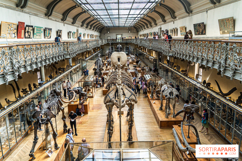 La Galerie de Paléontologie et d'Anatomie comparée du Muséum au Jardin des Plantes
