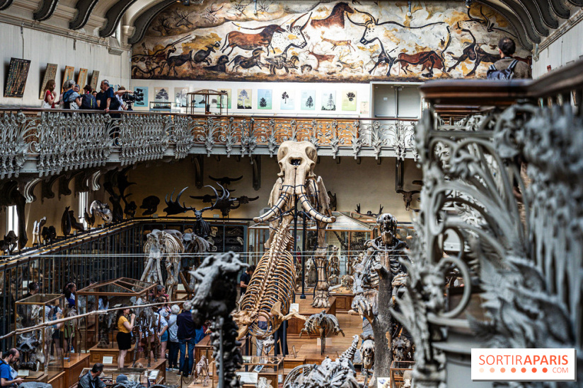 La Galerie de Paléontologie et d'Anatomie comparée du Muséum au Jardin des Plantes
