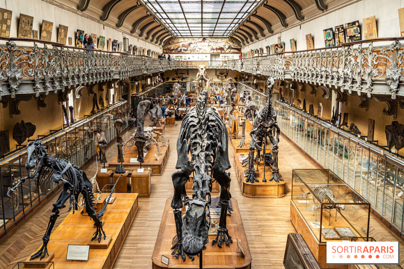 La Galerie de Paléontologie et d'Anatomie comparée du Muséum au Jardin des Plantes