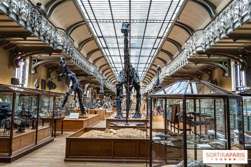 La Galerie de Paléontologie et d'Anatomie comparée du Muséum au Jardin des Plantes -  A7C7472