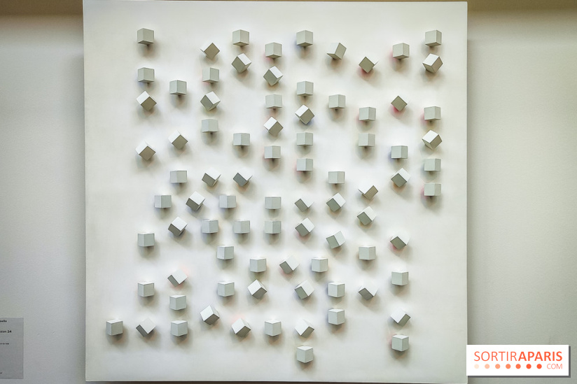 Le MAC-VAL, le musée d'art contemporain du Val-de-Marne et ses collections à portée de Navigo - Luis Tomasello