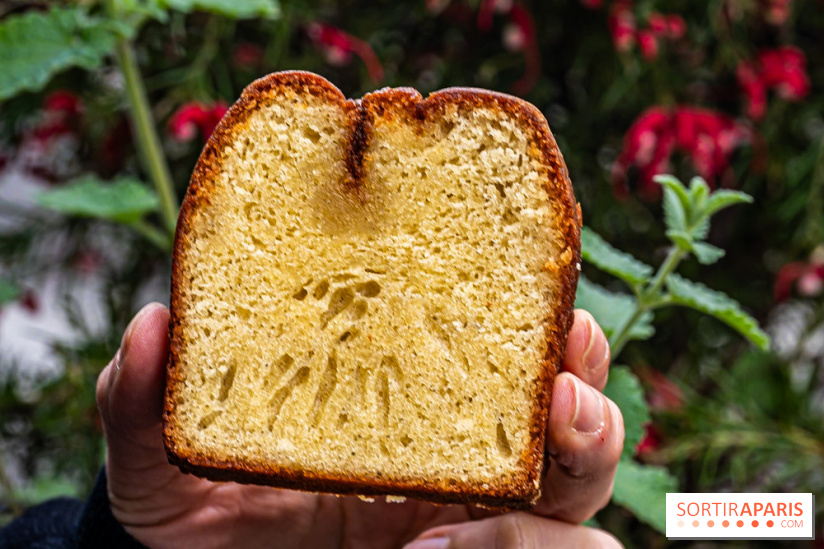 Pâtisserie Mélilot Paris 20e arrondissement -  cake mélilot