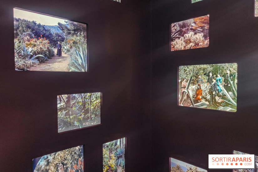 Natures vivantes : l'exposition photo qui met à l'honneur les jardins du musée Albert Kahn - photos - IMG20240429145524