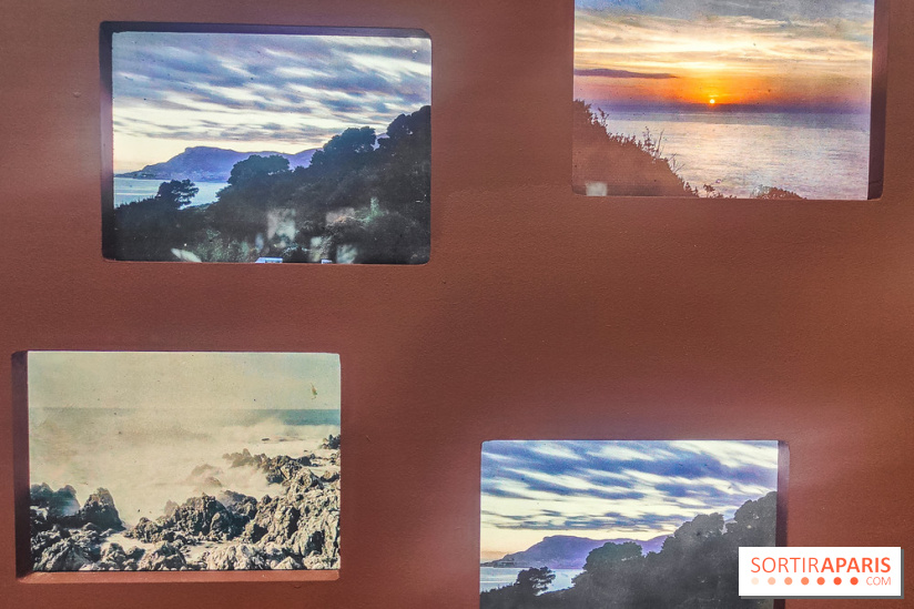 Natures vivantes : l'exposition photo qui met à l'honneur les jardins du musée Albert Kahn - photos