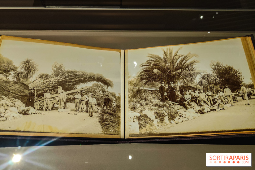 Natures vivantes : l'exposition photo qui met à l'honneur les jardins du musée Albert Kahn - photos - IMG20240429150227