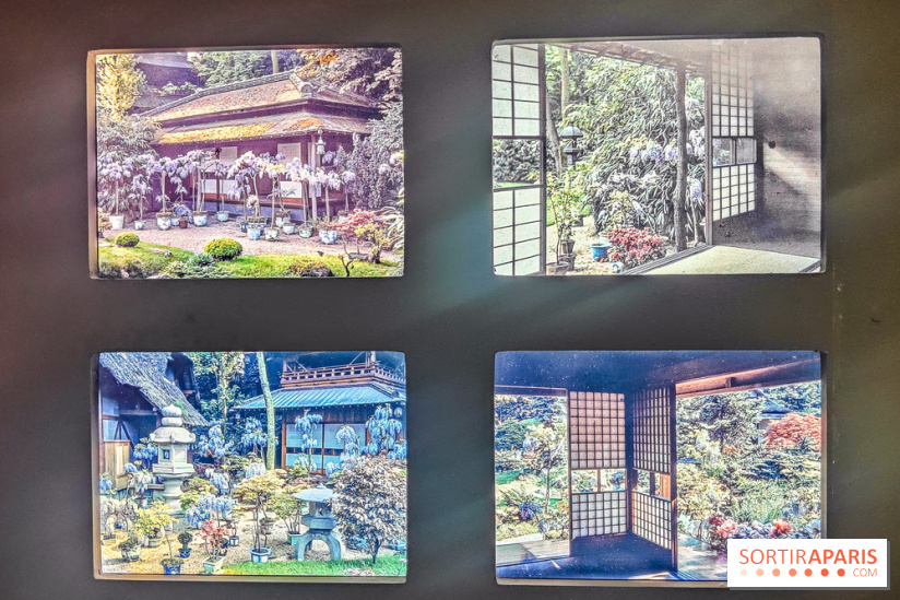Natures vivantes : l'exposition photo qui met à l'honneur les jardins du musée Albert Kahn - photos
