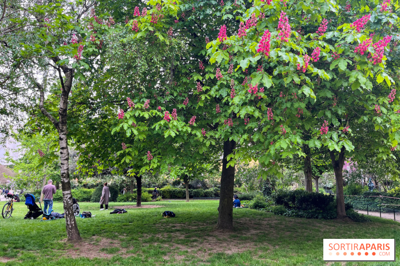 Jardin Villemin - nos photos - image00020