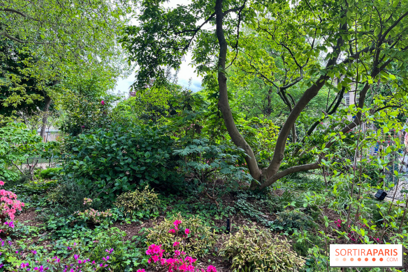 Jardin Villemin - nos photos - image00015