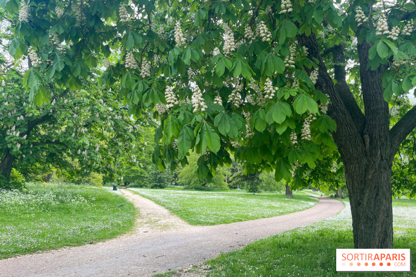 Le parc de Bois-Préau - nos photos