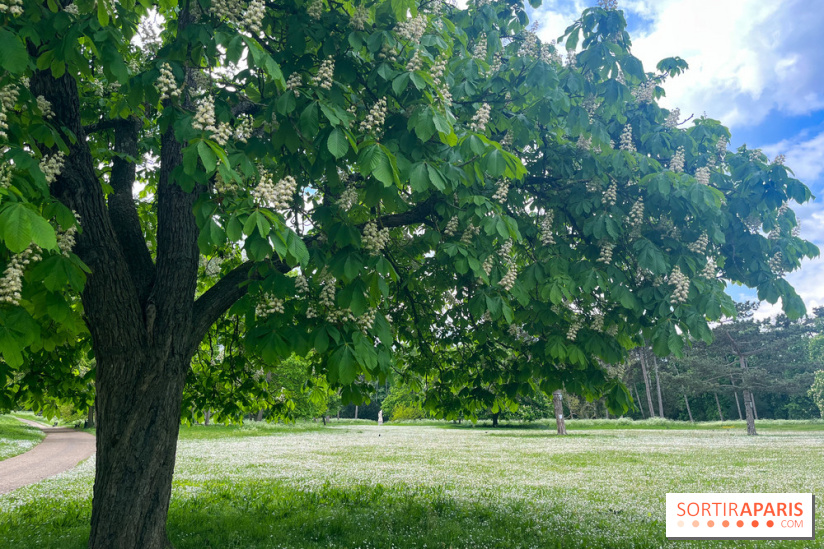 Le parc de Bois-Préau - nos photos - image00004