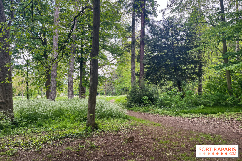 Le parc de Bois-Préau - nos photos