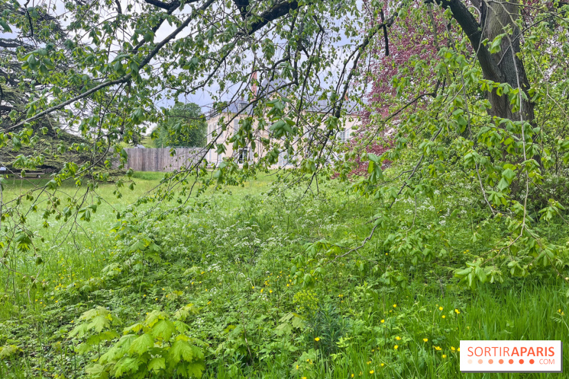 Le parc de Bois-Préau - nos photos - image00001