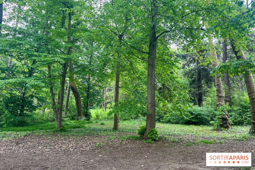 Le parc de Bois-Préau - nos photos