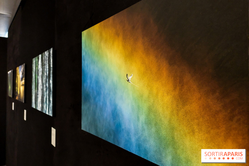 Reflets de la nature, nos photos de l'exposition - 20240507 141029