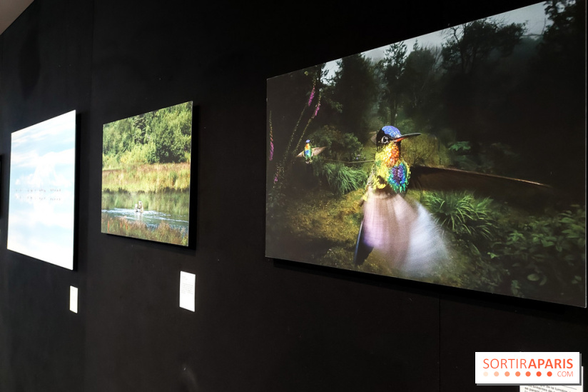 Reflets de la nature, nos photos de l'exposition - 20240507 141206