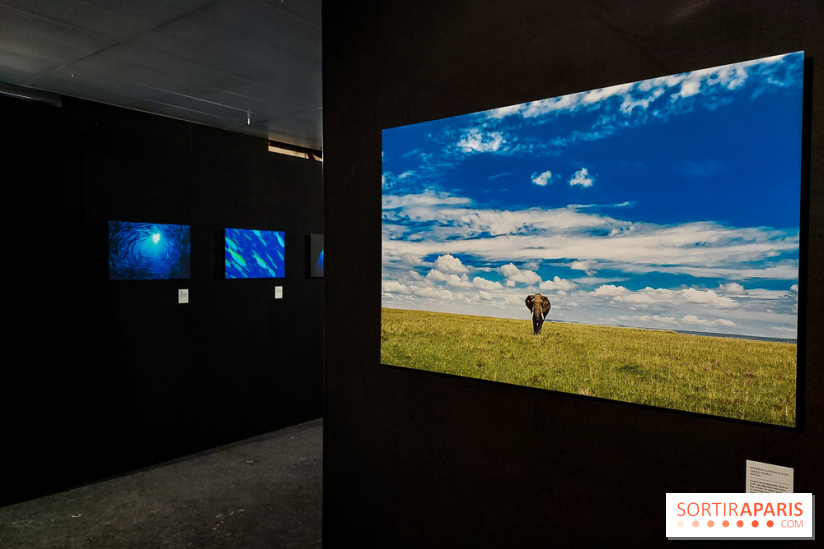 Reflets de la nature, nos photos de l'exposition - 20240507 141333