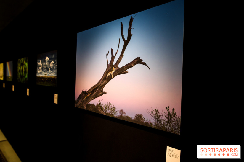 Reflets de la nature, nos photos de l'exposition