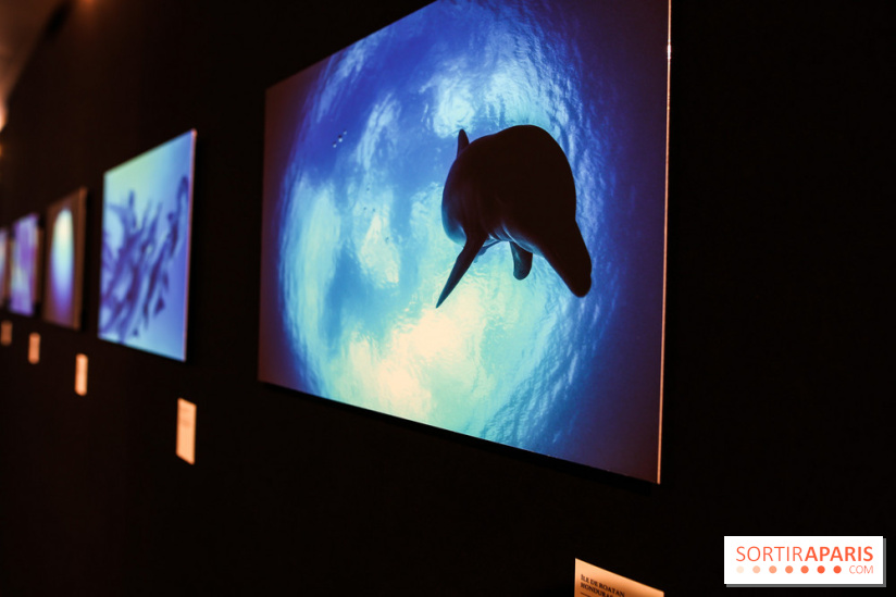 Reflets de la nature, nos photos de l'exposition