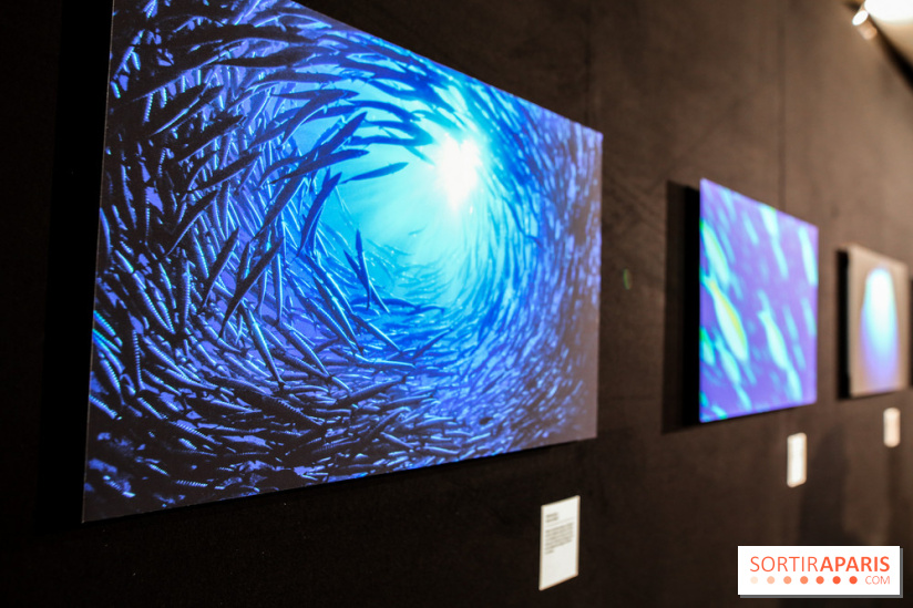 Reflets de la nature, nos photos de l'exposition - IMG 4828