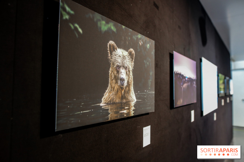 Reflets de la nature, nos photos de l'exposition