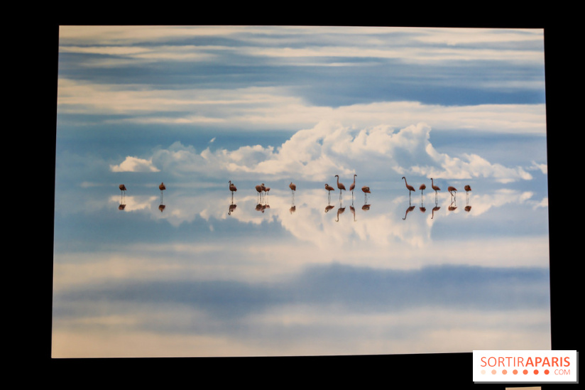 Reflets de la nature, nos photos de l'exposition