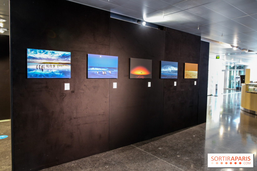 Reflets de la nature, nos photos de l'exposition