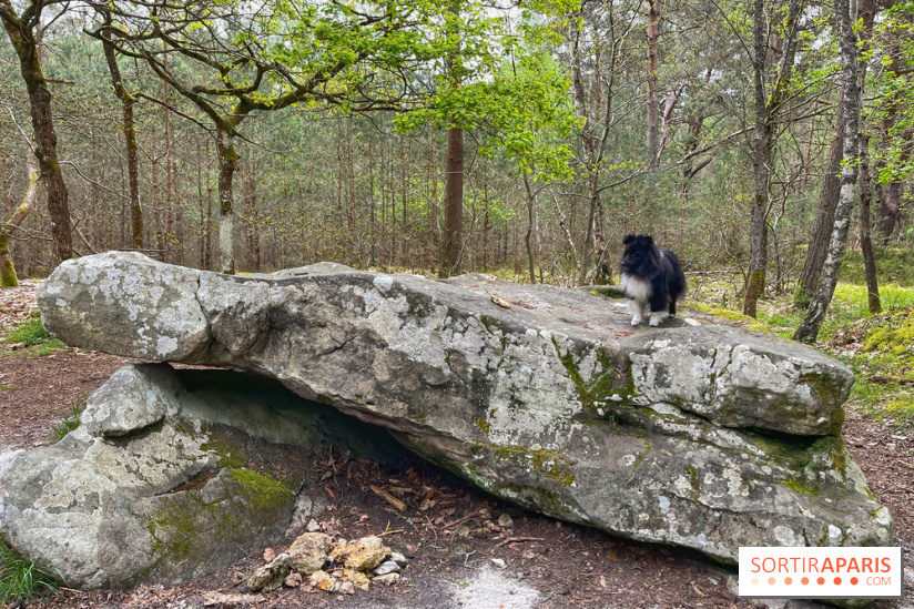 Dolmen de la Pierre Ardoue - IMG 0972