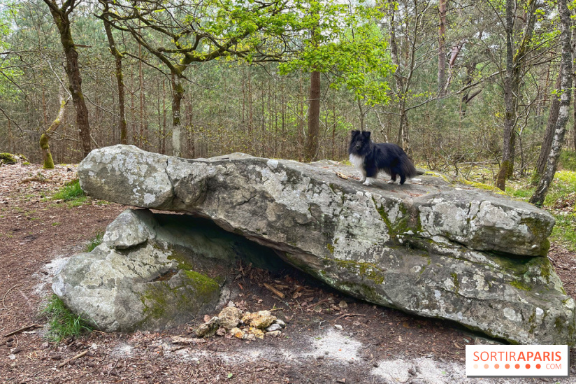 Dolmen de la Pierre Ardoue - IMG 0974
