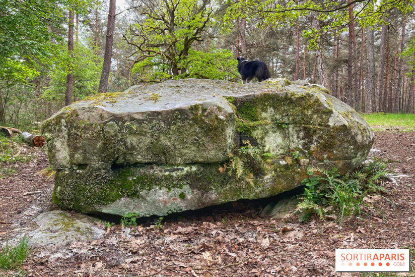 Dolmen de la Pierre Ardoue