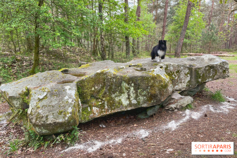 Dolmen de la Pierre Ardoue