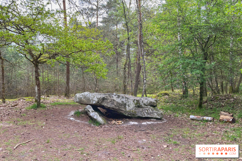 Dolmen de la Pierre Ardoue - IMG 0988