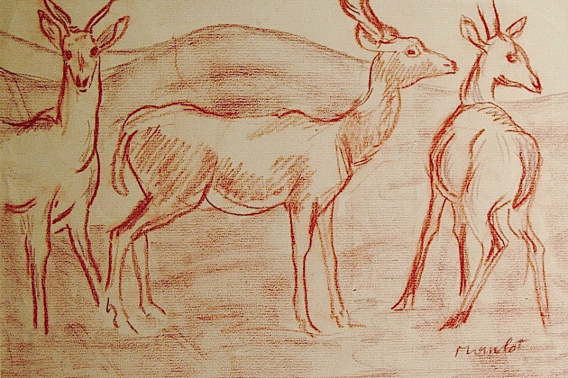 Campagne #32834 - Dessin Gazelles (sanguine)Mourlot Maurice