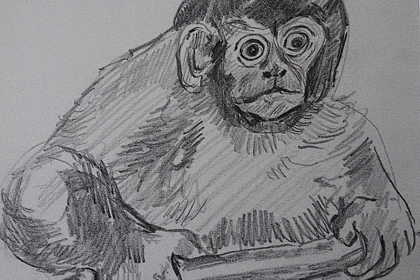 Campagne #32834 - Dessin N&B Maurice Mourlot 