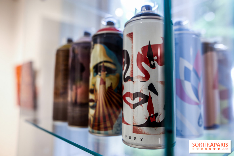 Le Décryptage de l’art de rue, nos photos de l'expo - IMG 4923