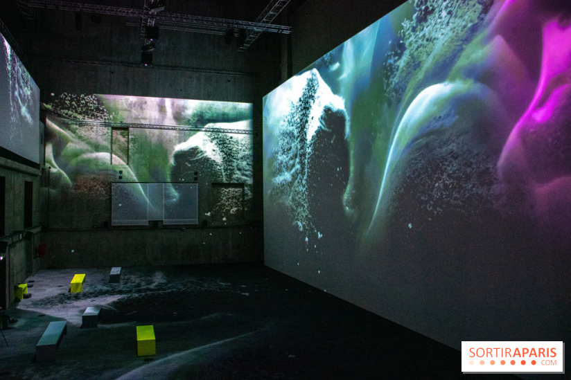 Artificial Dreams - DSC 0100