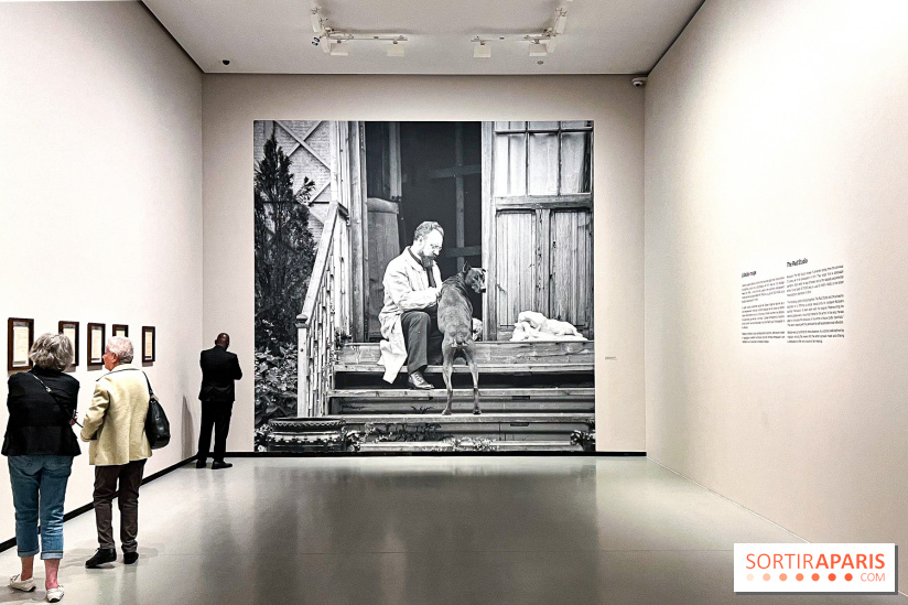 Matisse
