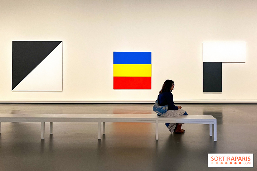 Formes et couleurs, l'exposition hommage à Ellsworth Kelly à la Fondation Louis Vuitton - image00061
