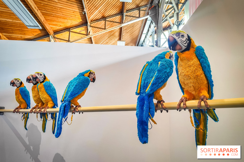 Rayon Jouets, l'exposition ultra ludique du Hangar Y - IMG20240515133341