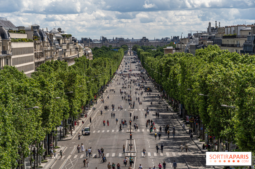 Grand pique nique des Champs-Élysées - photos