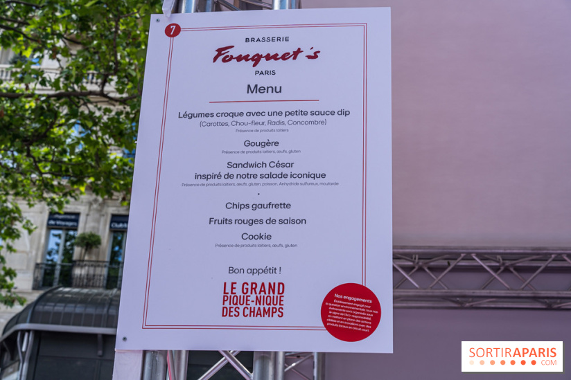 Grand pique nique des Champs-Élysées - photos