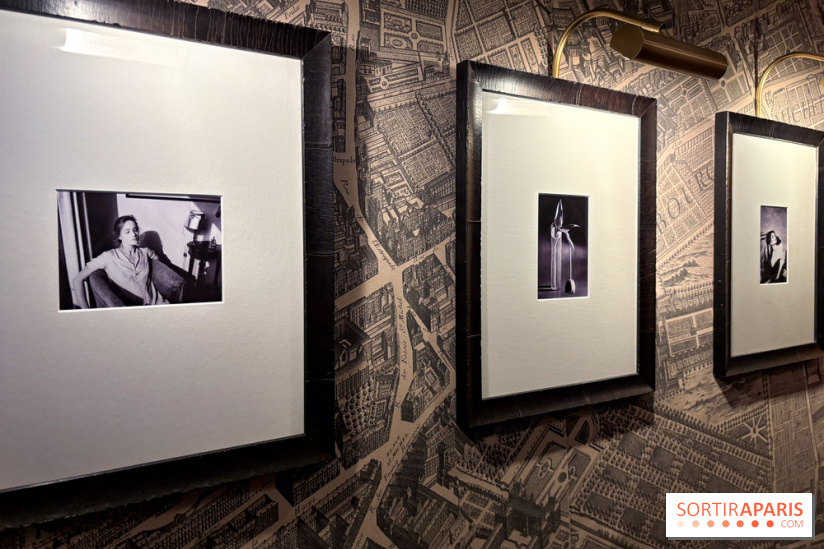 L'Hotel de Buci  - IMG 2164 2