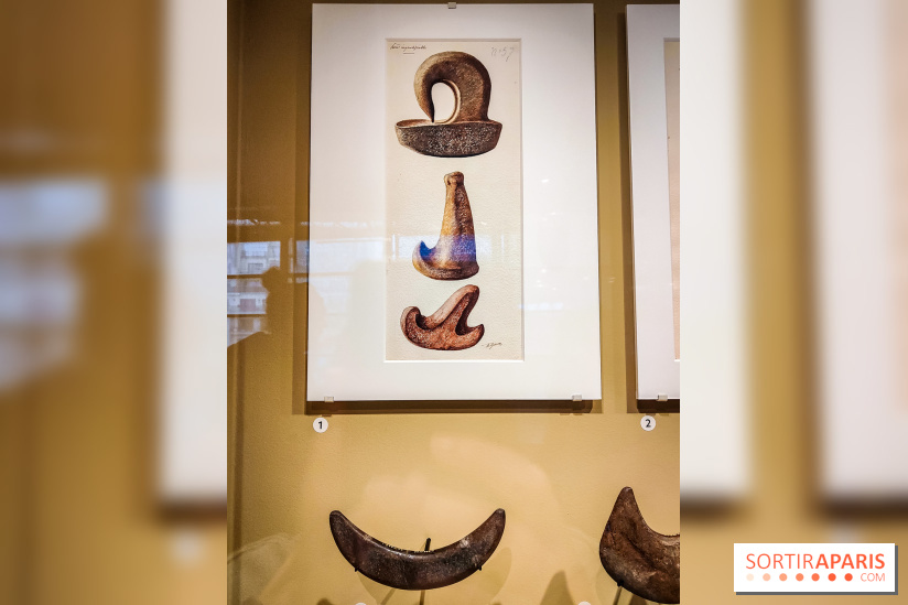 Exposition Taïnos et Kalinagos des Antilles : un voyage fascinant à faire au musée du Quai Branly - IMG20240603153315