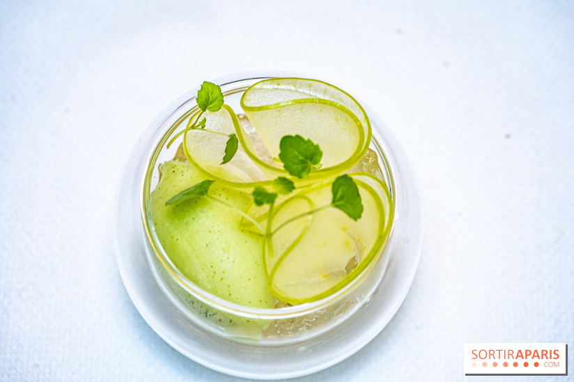 La Scène Thélème, le restaurant étoilé par Rudy Langlais -  A7C5116