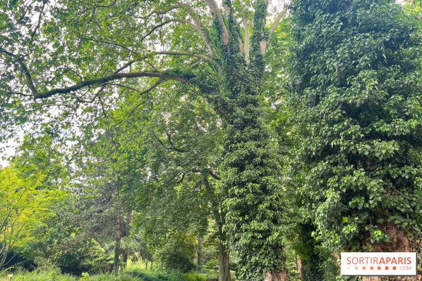 Le parc de la Légion d'honneur de Saint-Denis - nos photos