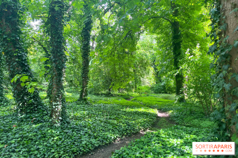 Le parc de la Légion d'honneur de Saint-Denis - nos photos - image00008