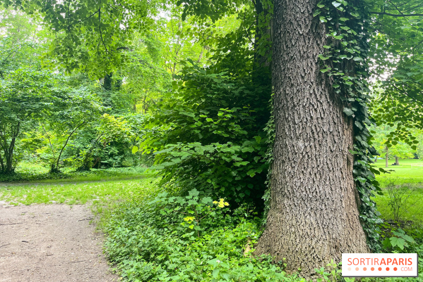 Le parc de la Légion d'honneur de Saint-Denis - nos photos