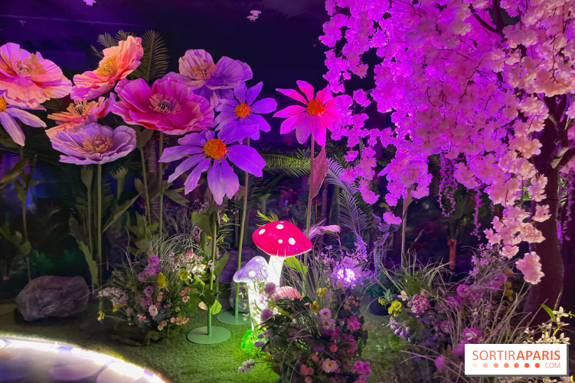 House of Dreamers - IMG 1500